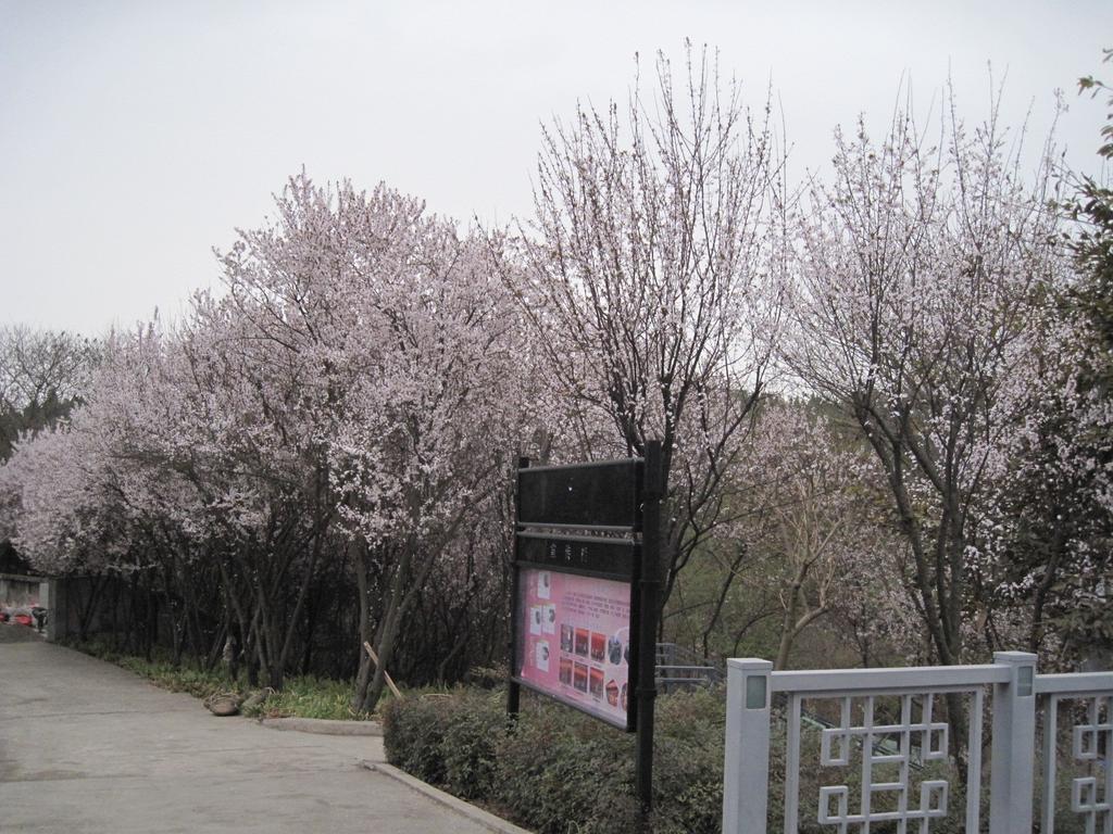 Fule Jiuzhou International Hotel Mianyang  Exterior photo